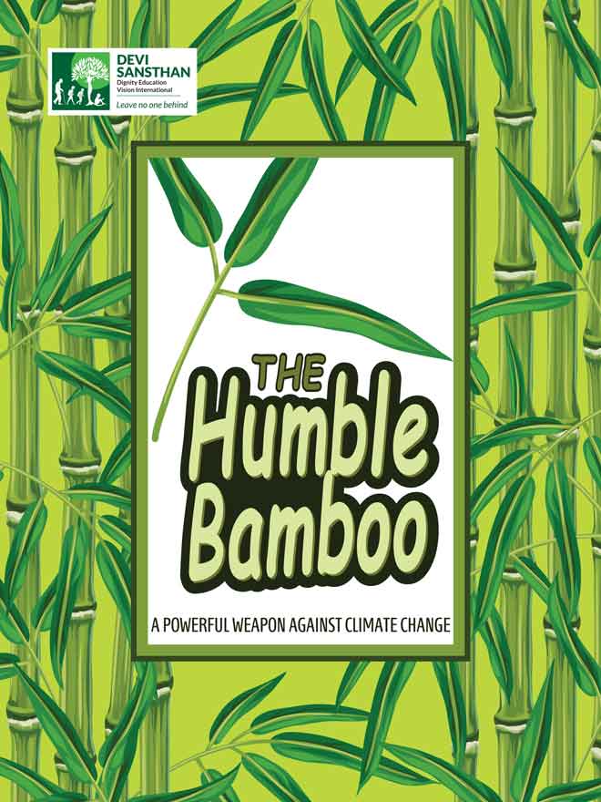 Bamboo plants will help fight climate change