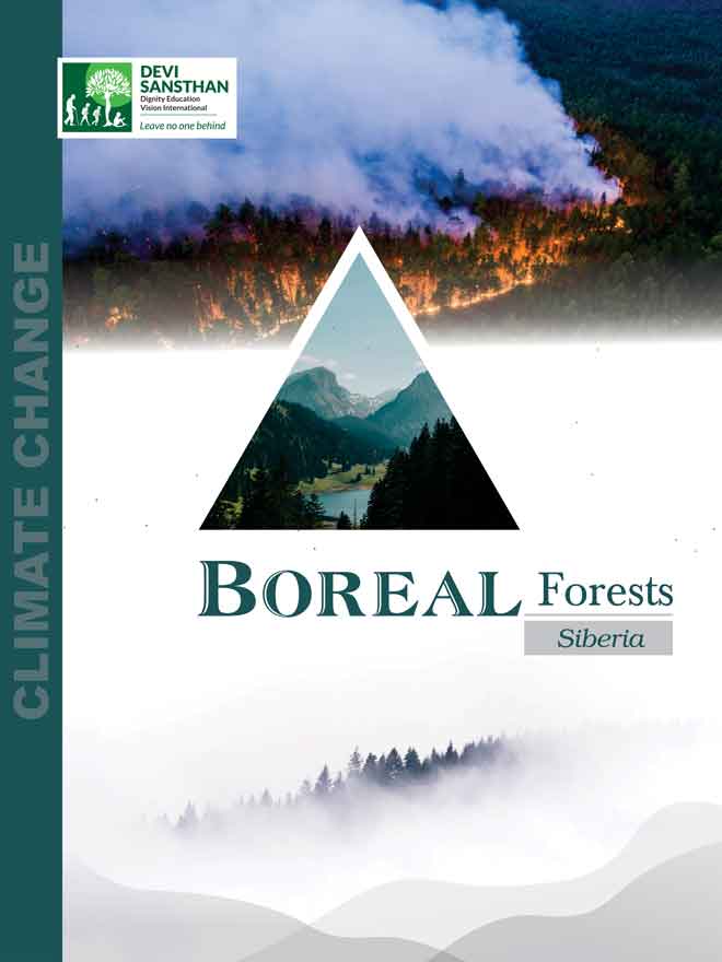 Boreal Forest, Siberia