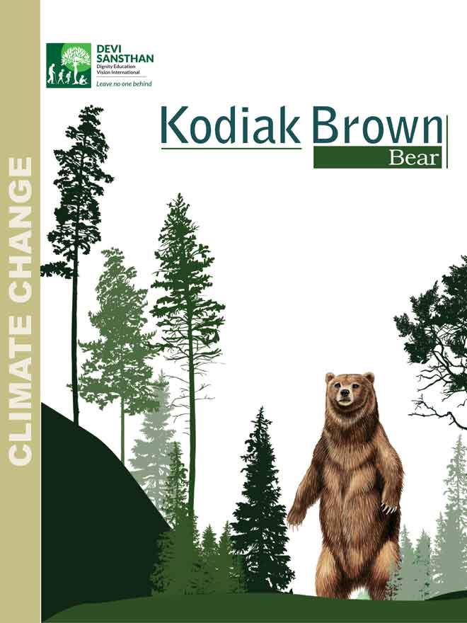 Kodiak Brown Bear