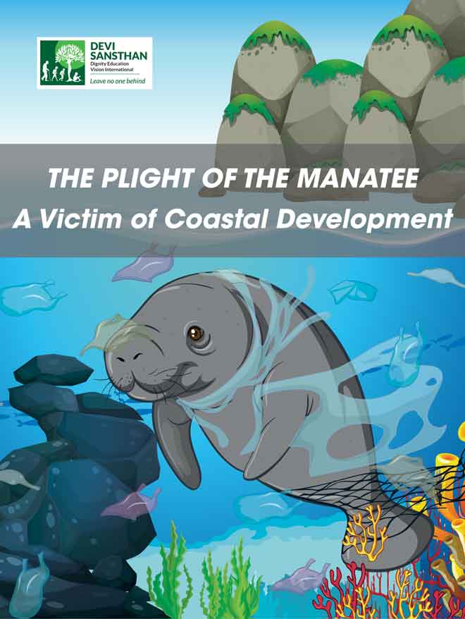 Manatee