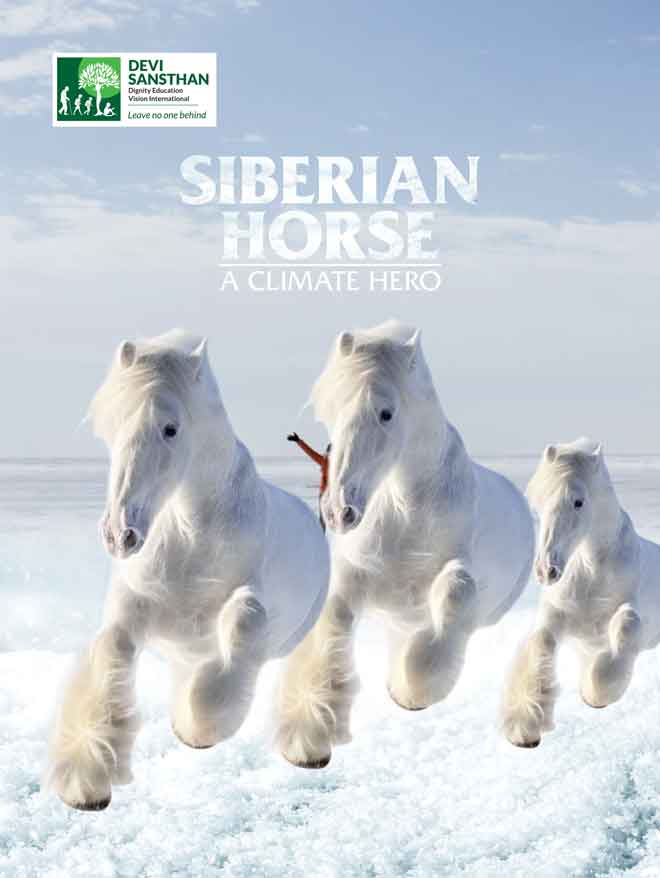 Siberian Horse