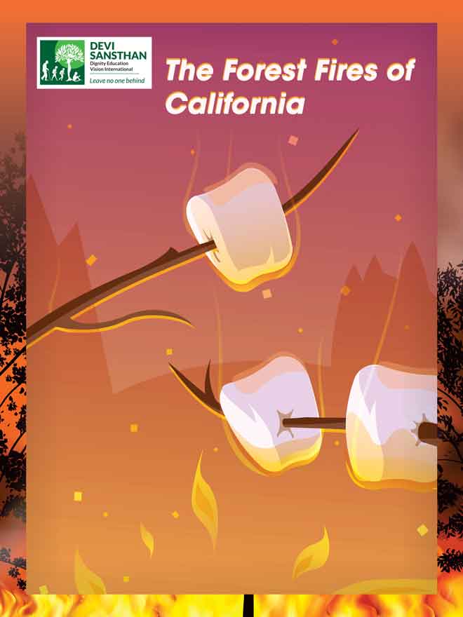 The Forest Fires of California