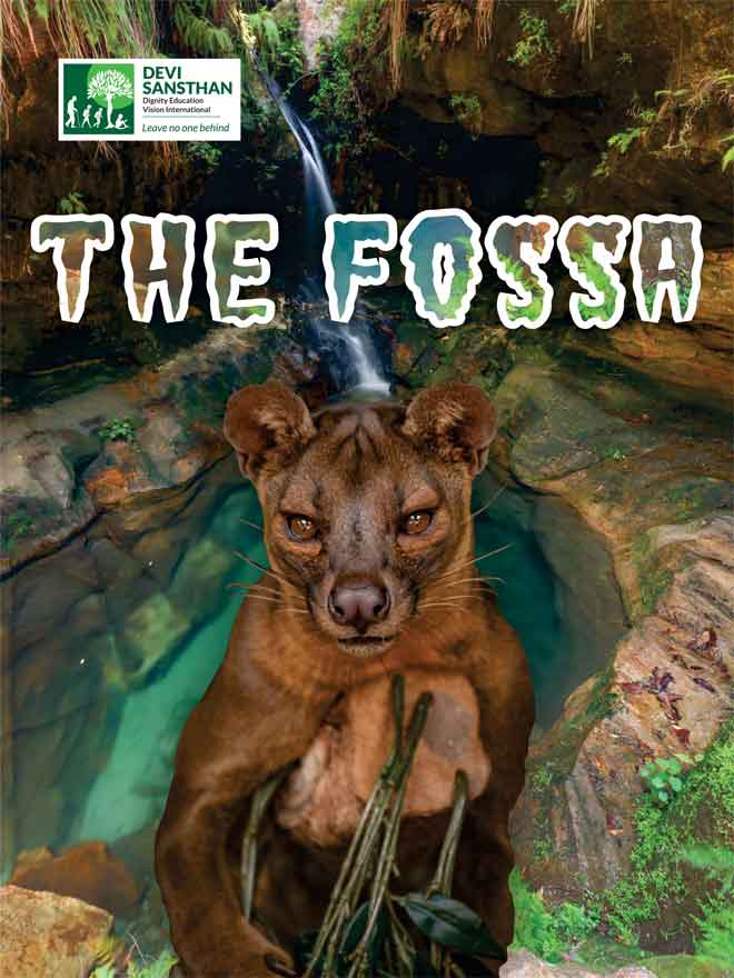 The Fossa