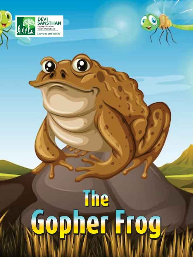 The GopherFrog