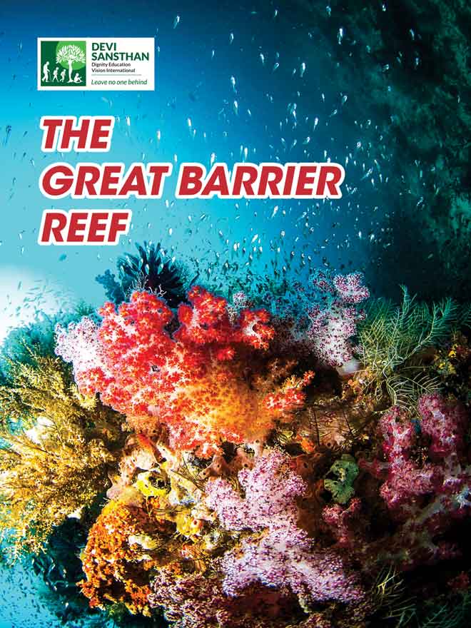 The Great Barrier