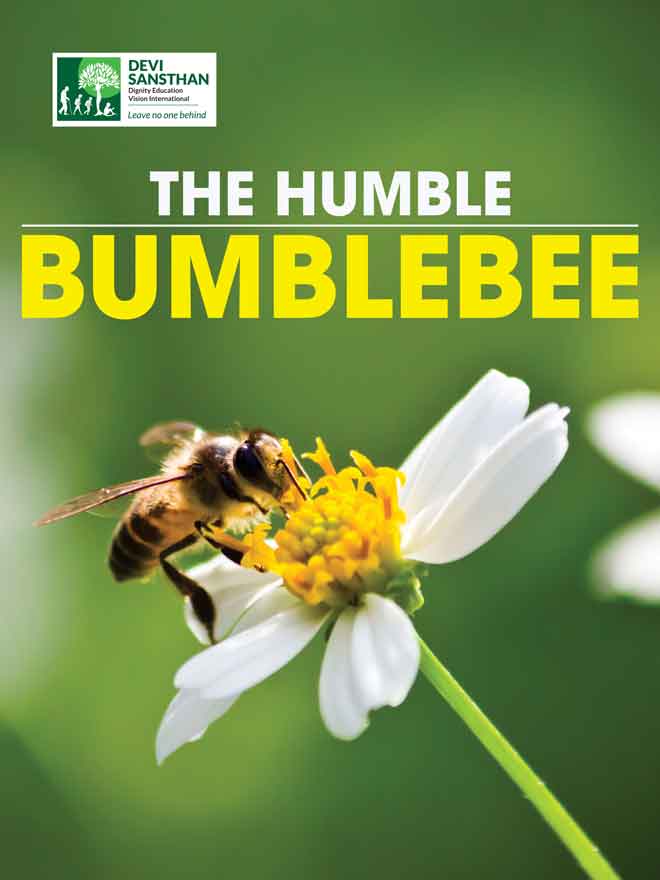 The Humble Bumblebee