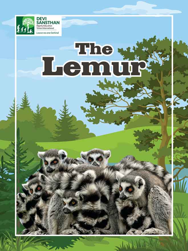 The Lemur