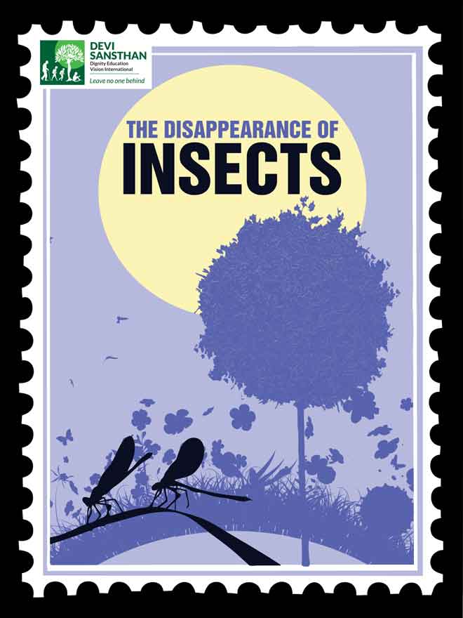 The disappearing Insects