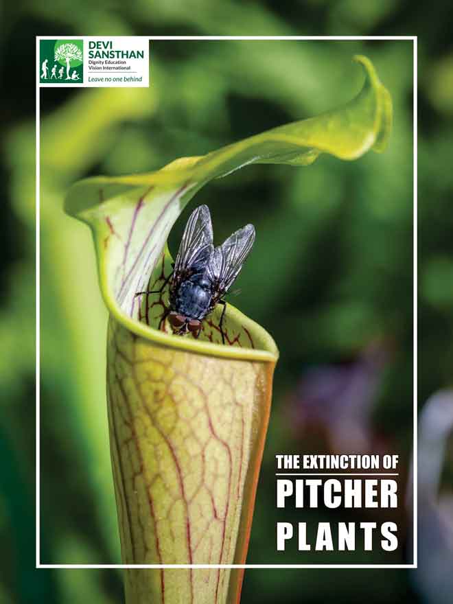 The extinction of pitcher plants