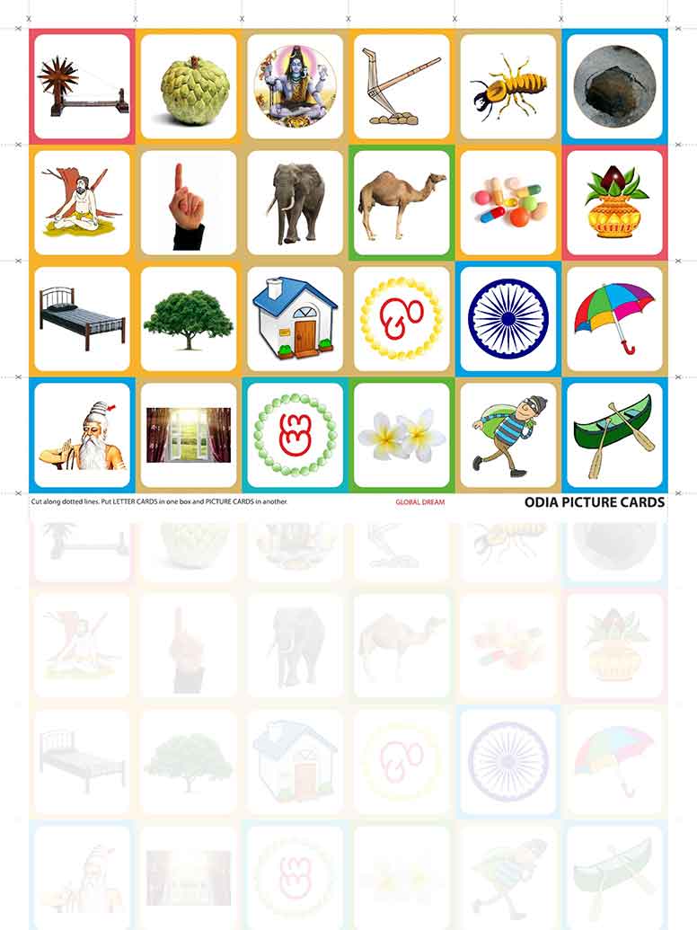 ODIA GLOBAL DREAM PICTURE CARDS