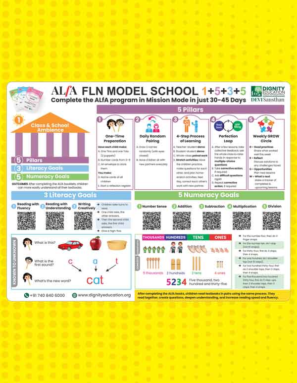 ALfA FLN Process Chart